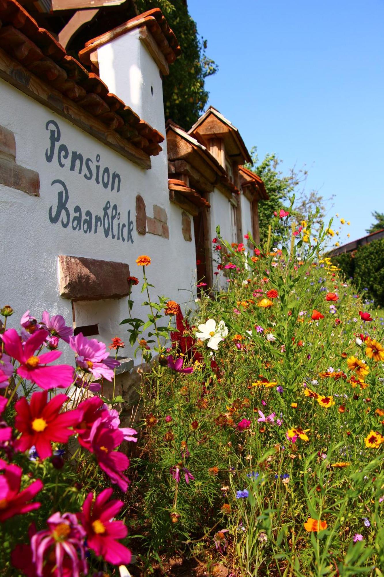 Pension Baarblick Hotel Donaueschingen Exterior photo